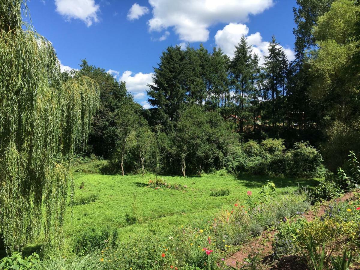 Nonnweiler Haagalm Terrasse, Garten מראה חיצוני תמונה