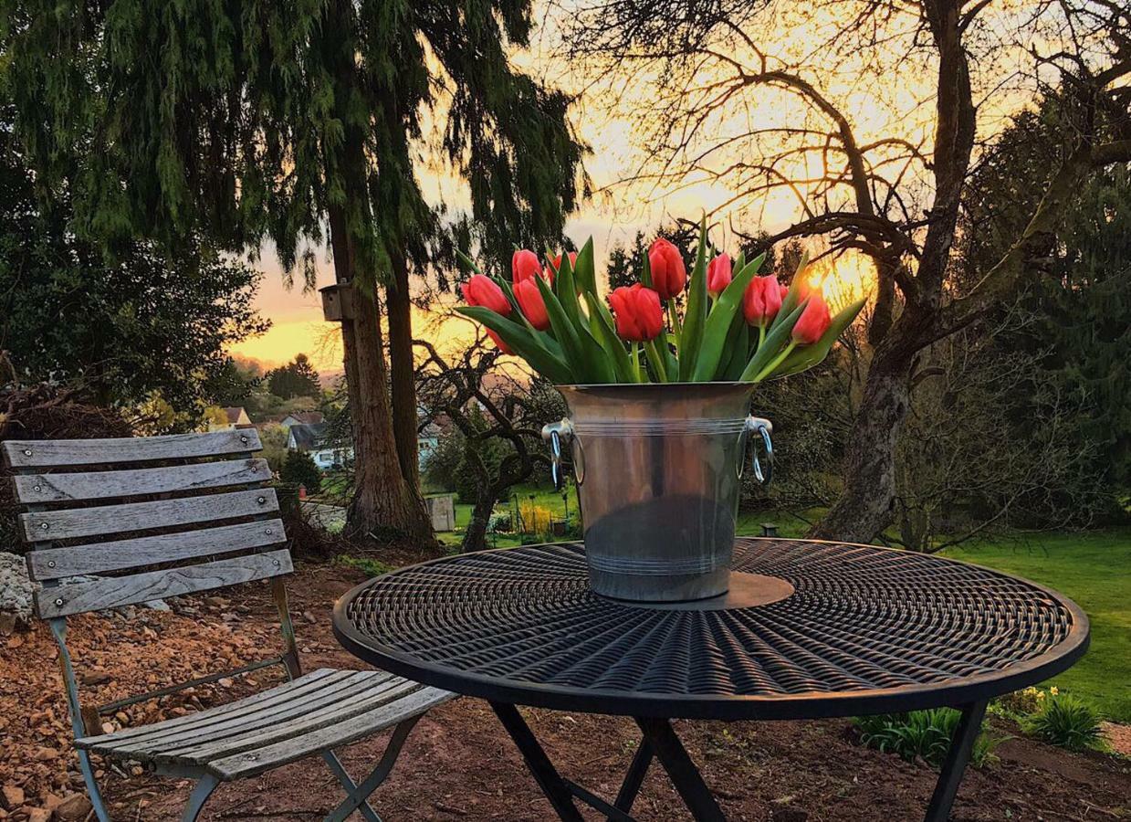 Nonnweiler Haagalm Terrasse, Garten מראה חיצוני תמונה