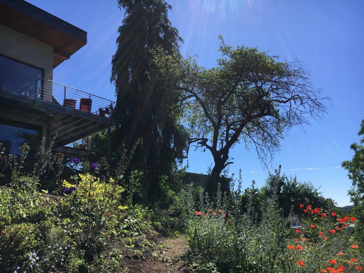 Nonnweiler Haagalm Terrasse, Garten מראה חיצוני תמונה